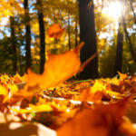 Letting Go of Friendships